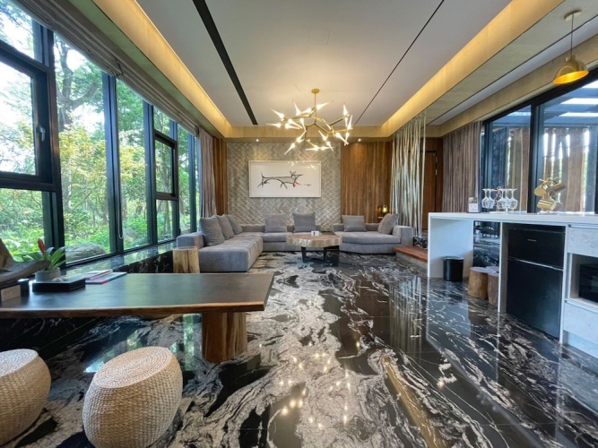 Premium Villa