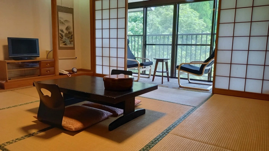 Standard Twin Family room