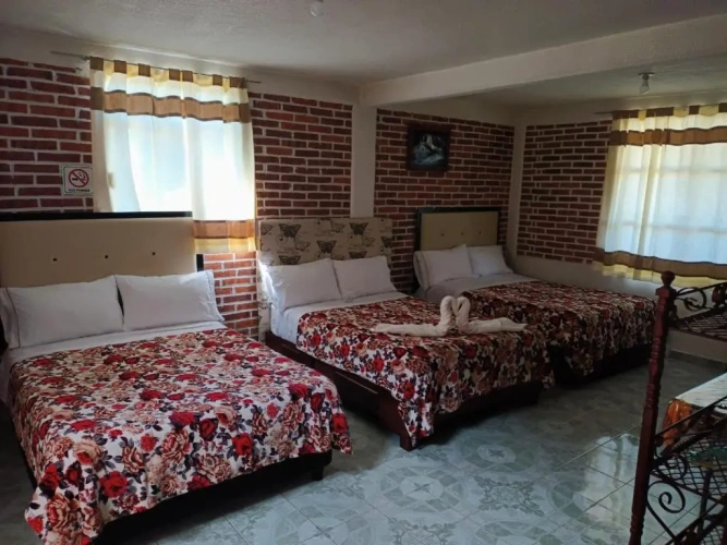 Standard Family room