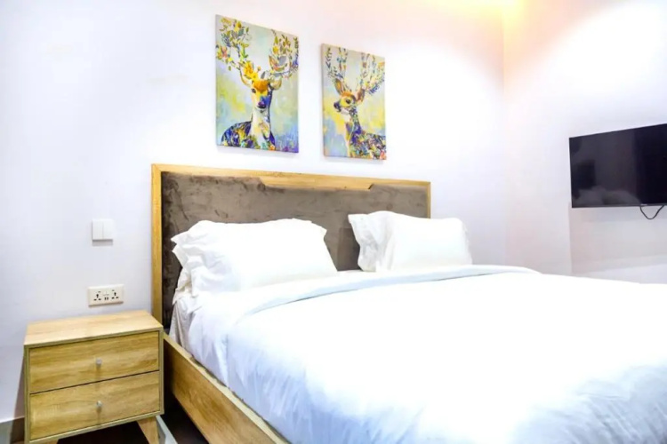 Luxury apartments and shortlets