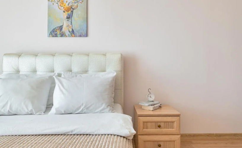 Фотография номера квартиры Welcome Home (Вэлком Хоум) на Лиговском 105