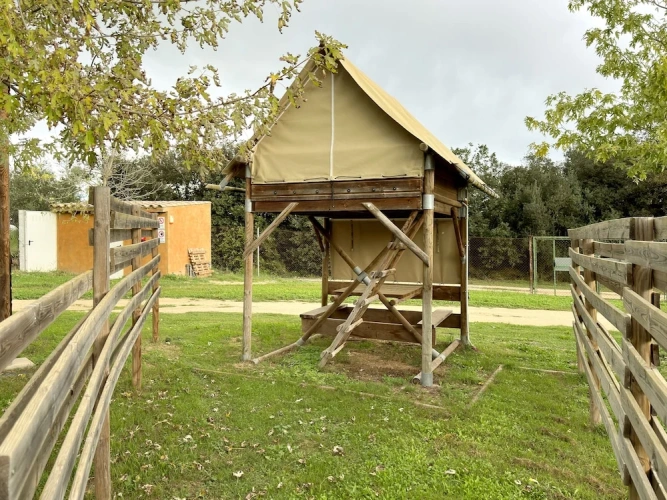 Tent