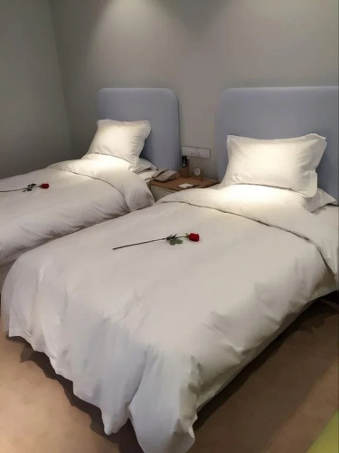 Scenery Hotel Luoyang