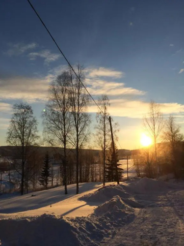 B&B Bjärtrå