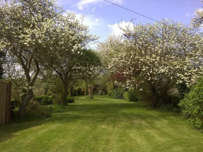 Standard Double room with garden view
