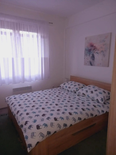 Apartman Tea