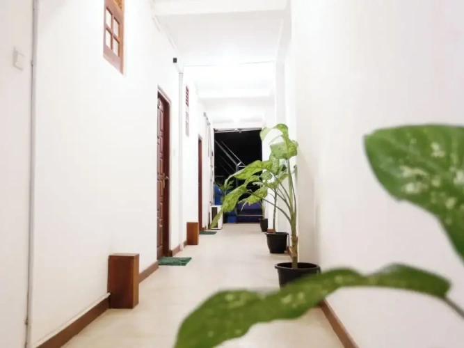 Deluxe Double room with garden view