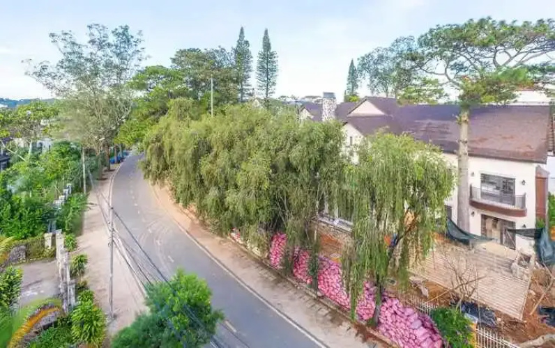 Villa Hoa Ly Hotel