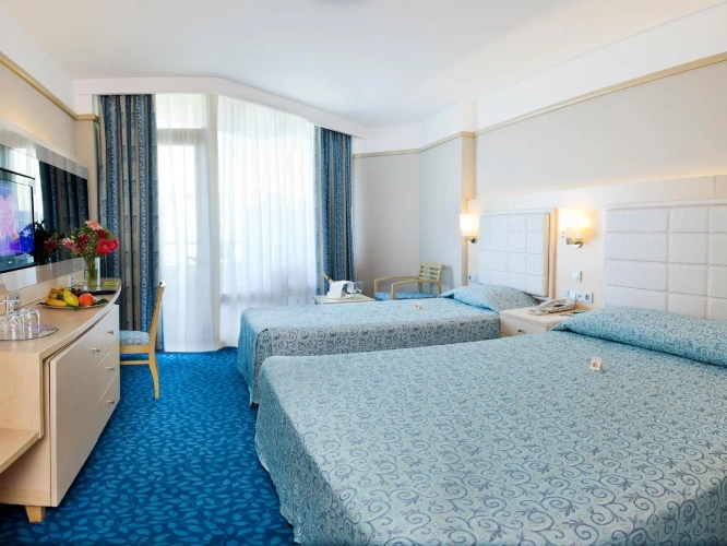 Economy Double room with balcony and with view