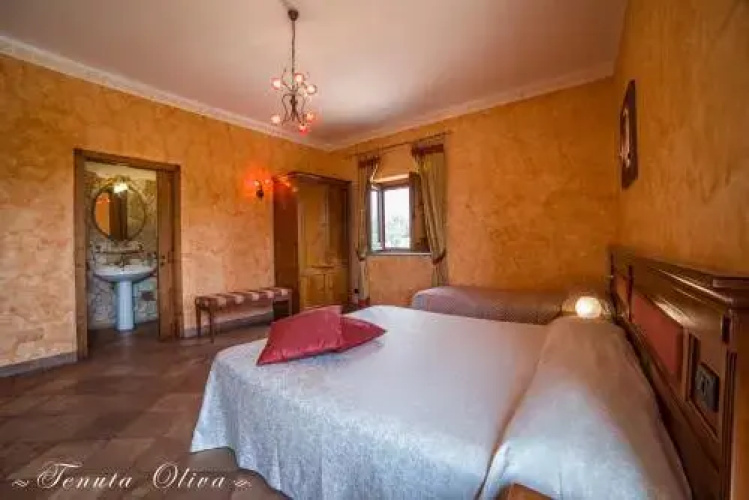 Tenuta Oliva