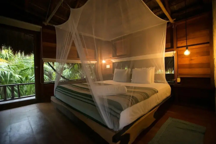 Vida Silvestre Tulum