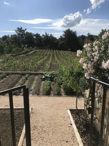 Kekliktepe Bag Evi