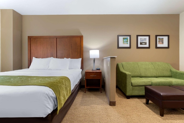 1 Bedroom Suite