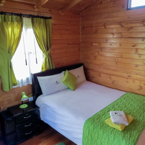 Double Bungalow