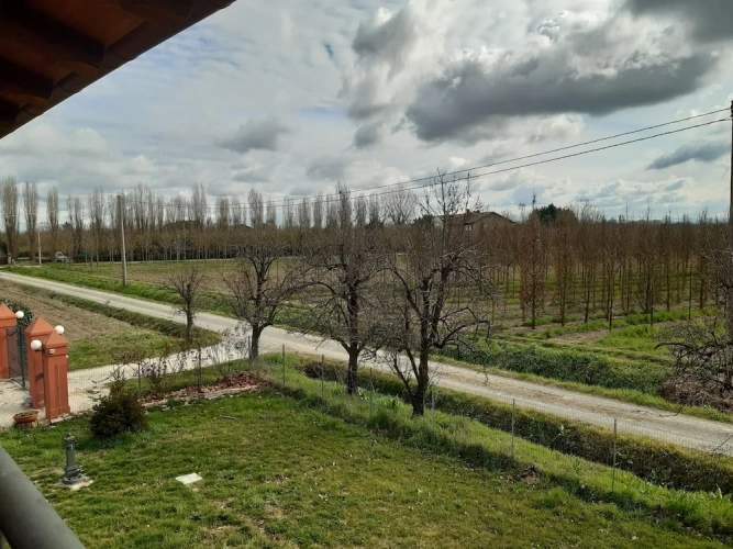 Standard Double room with balcony and with garden view