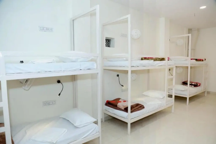 Bed in Dorm