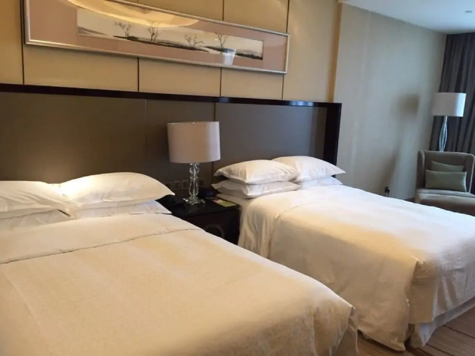 Standard Double Club room