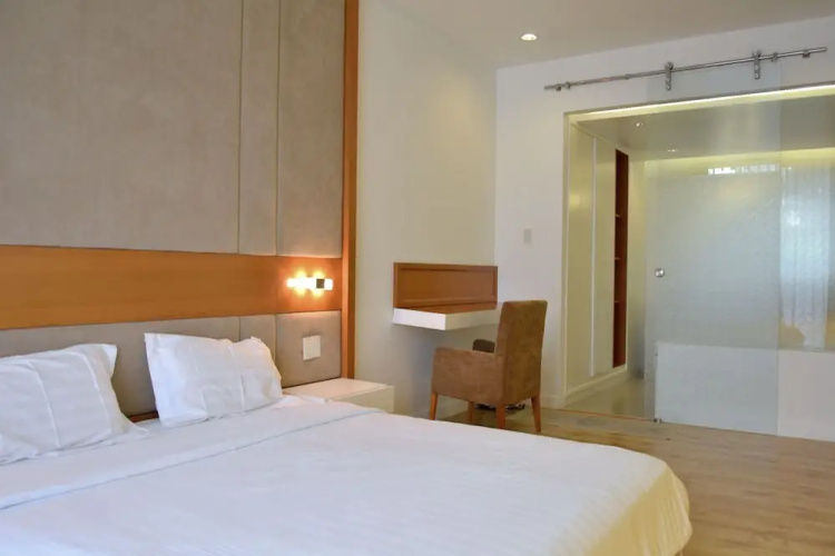 Luxury Apartment