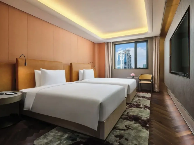 Deluxe Twin room with city view