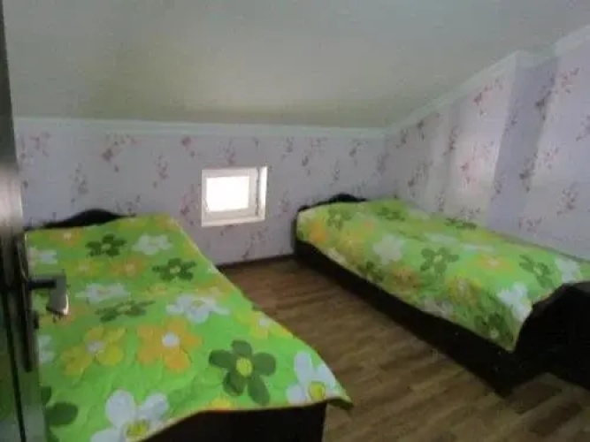 B&B Tamari