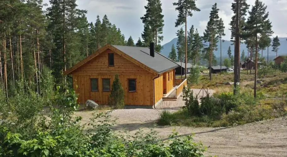 Chalet Vradal