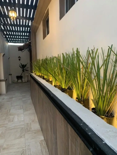 Economy room