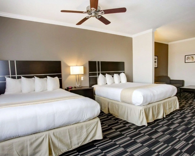 Quadruple Suite