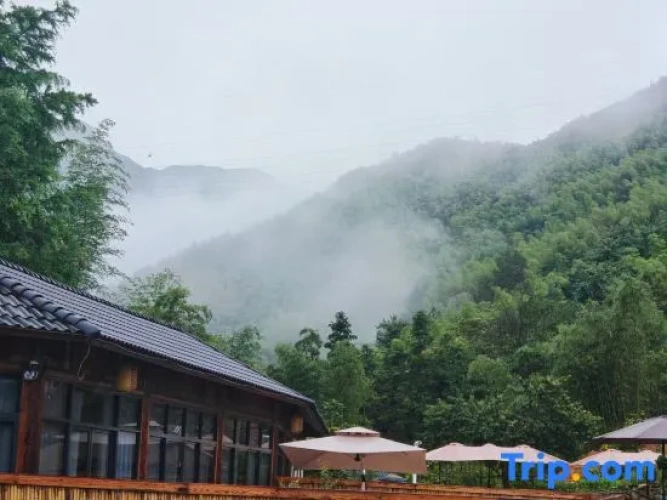 Outside