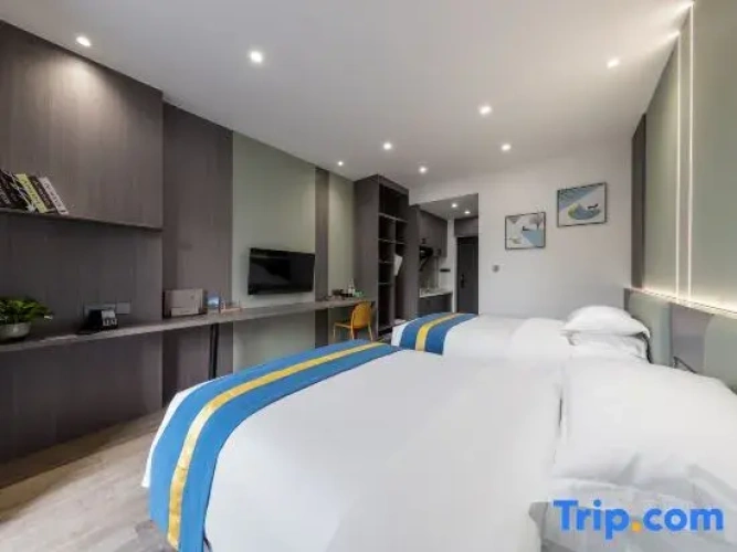 Deluxe Twin room with city view
