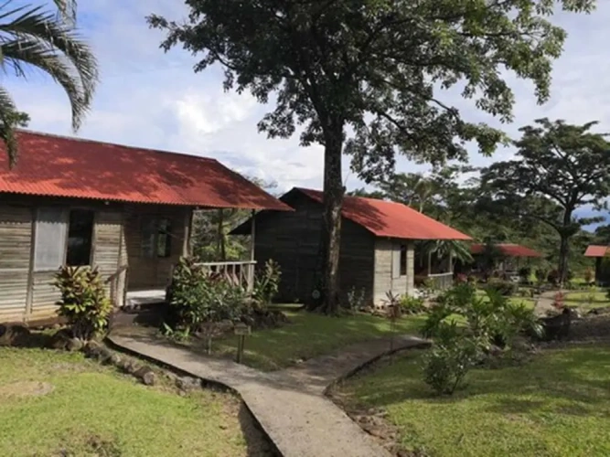 Superior Double Bungalow