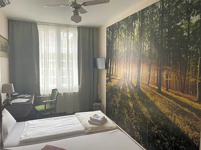 Standard Double room with view