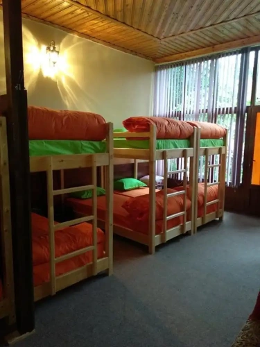 Bed in Dorm