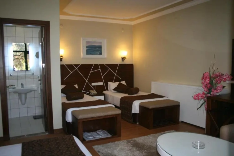 Standard Triple room with garden view