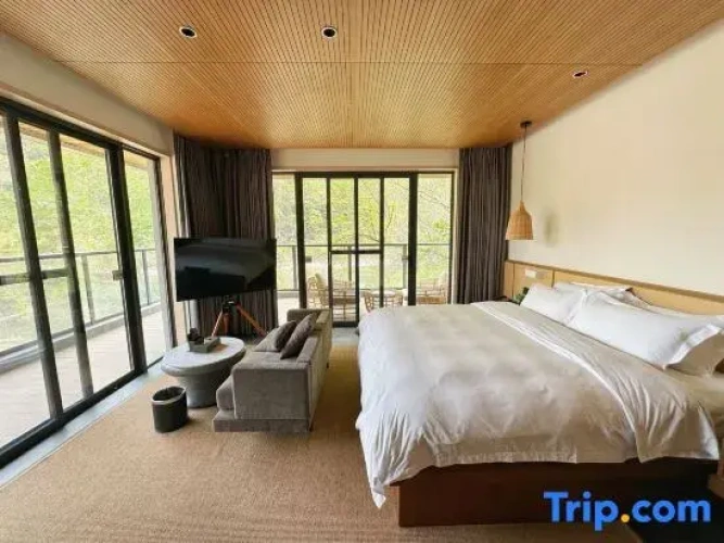 1 Bedroom Suite