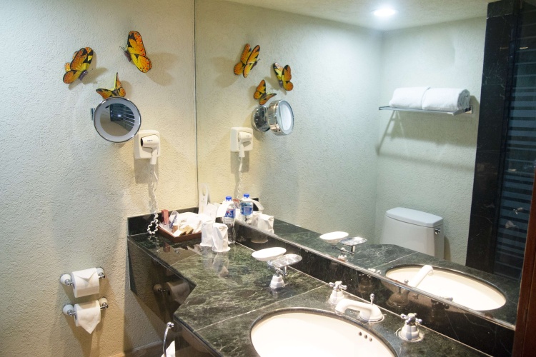 Hotel Emporio Ixtapa photo 12