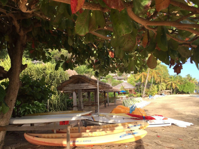 Young Island Resort