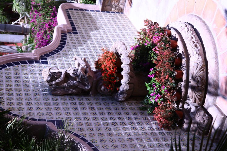 Imagen de Collection O Casa Bella Hotel Boutique, Cabo San Lucas