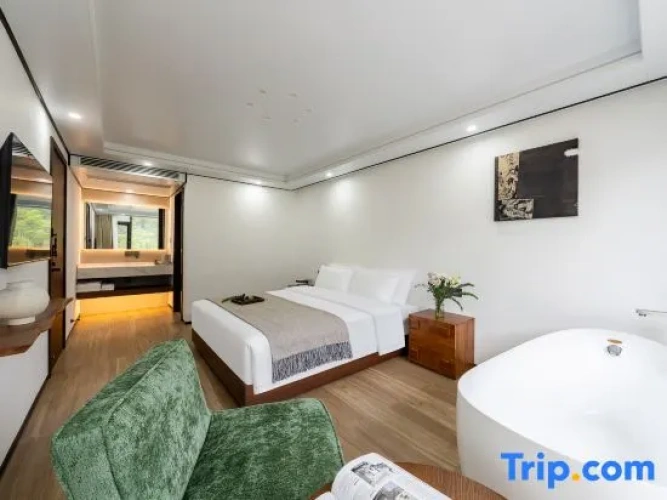 Standard Double room with mountain view