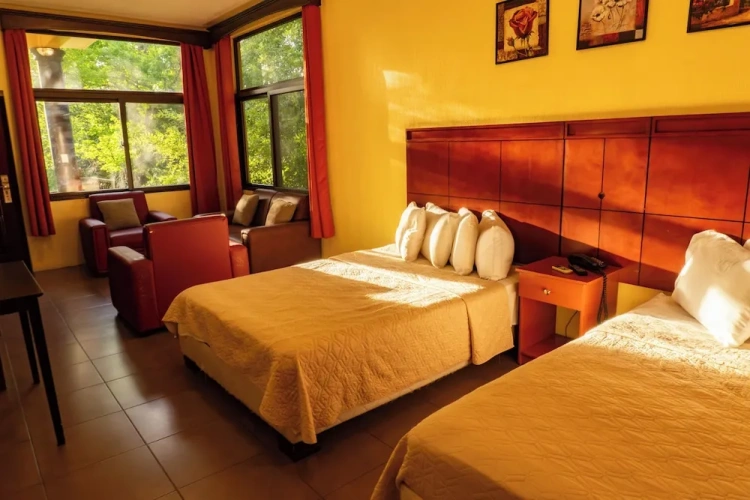 Standard Twin room with view