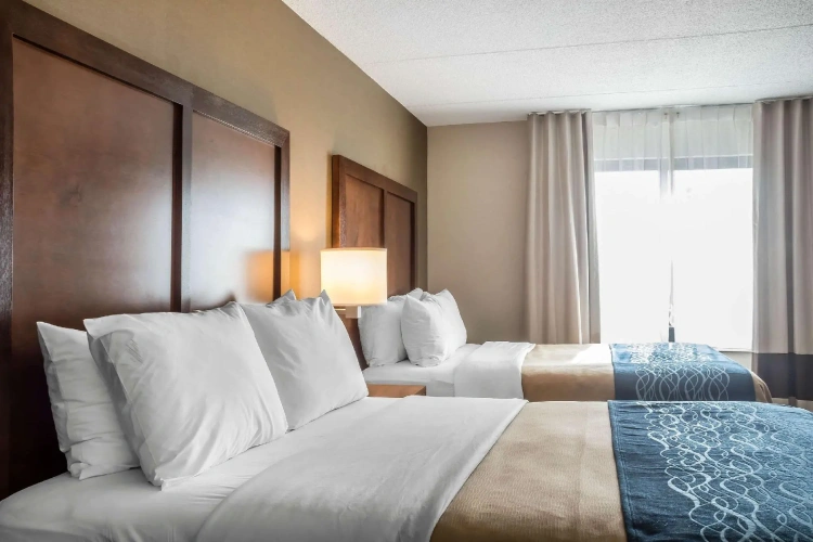 Quadruple Suite