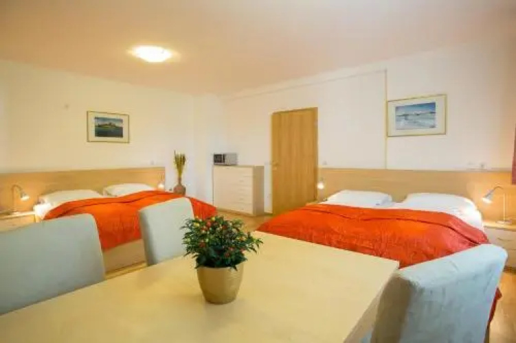 Apartments Benedi?I?