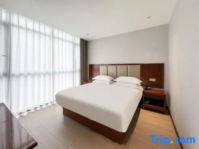 1 Bedroom Suite