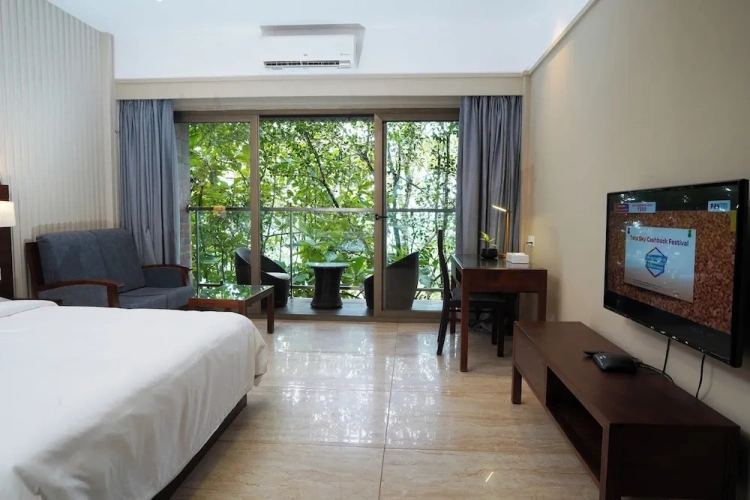 Deluxe Double room with garden view
