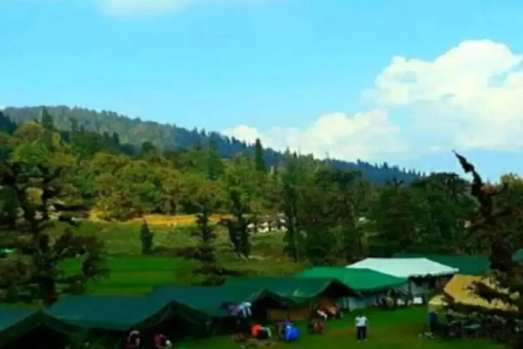 Serene Camps