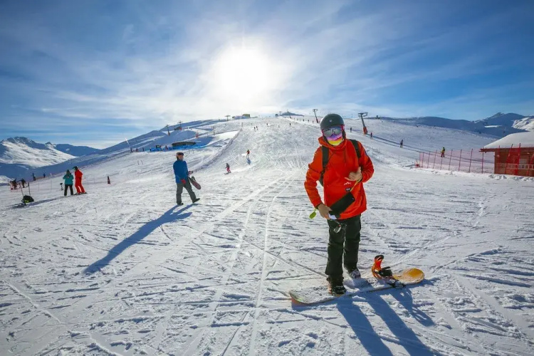 Sole Ski in- Ski out Mt 50
