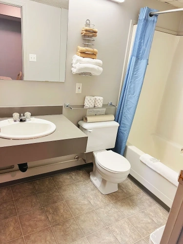 Standard Suite