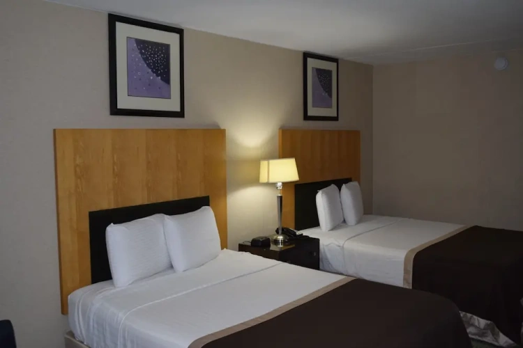 Deluxe Quadruple room with pool view