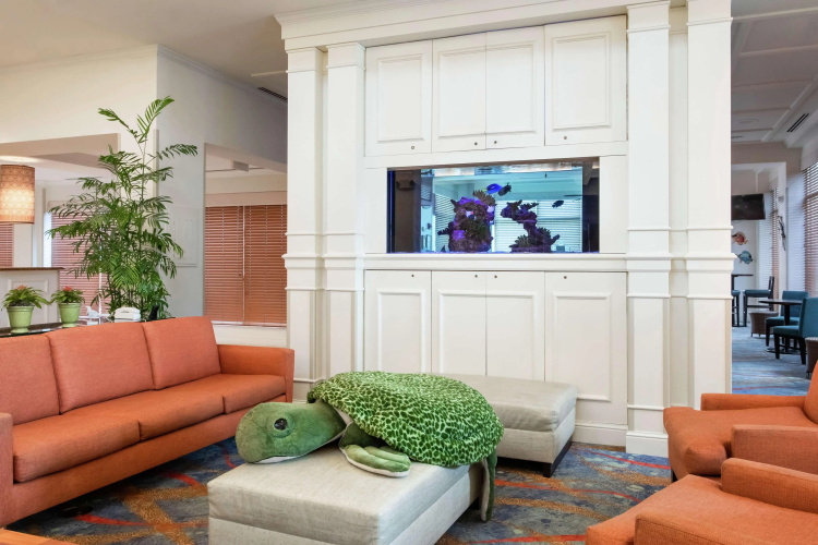 Hilton Garden Inn Orlando at SeaWorld photo 17