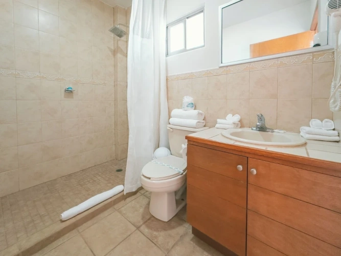 Standard Double room with balcony and with pool view