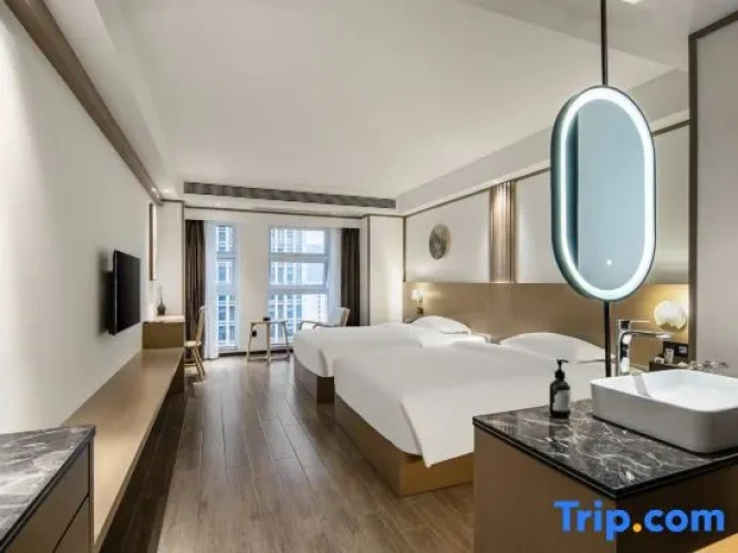 Deluxe Twin room with city view
